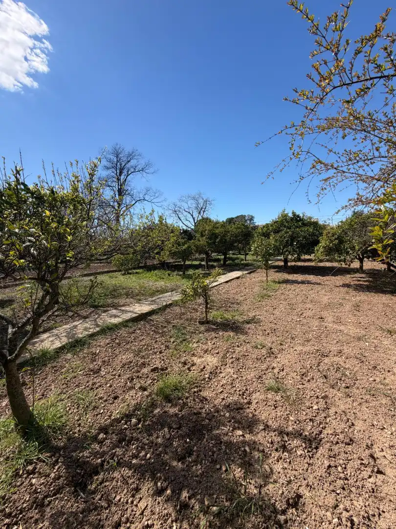 Casa o xalet en venda en Ulldecona amb Jardí privat i Terrassa