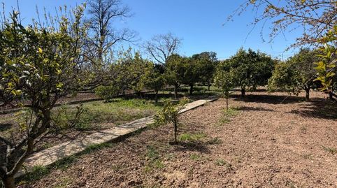 Foto 4 de Casa o xalet en venda a Ulldecona, Tarragona