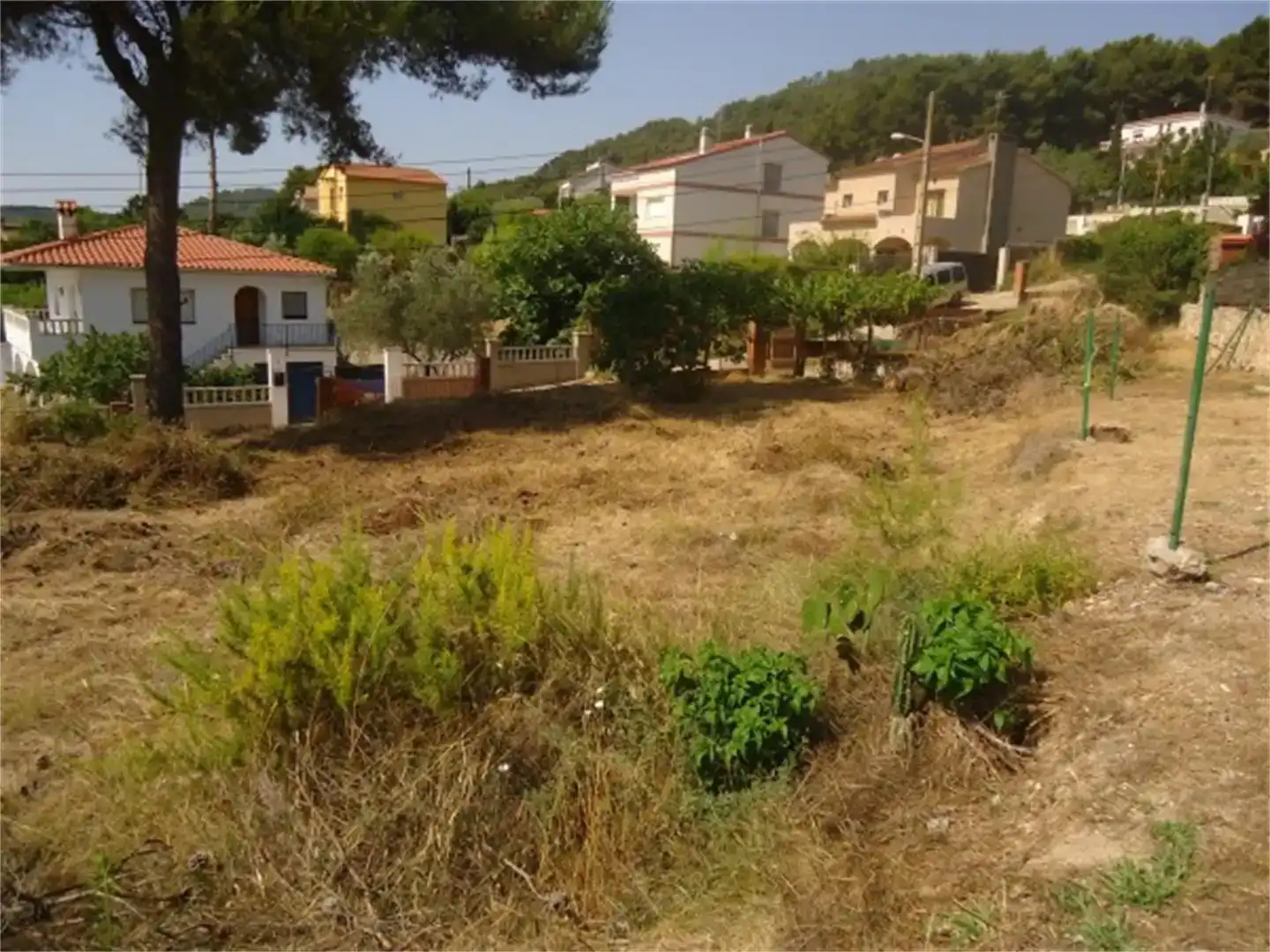 Estudi en venda en Olivella