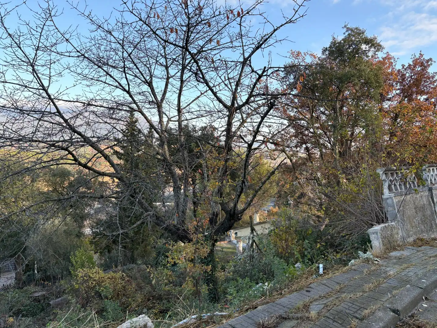 Residential land for sale in Carrer del Turó de l'Home, imagen 15