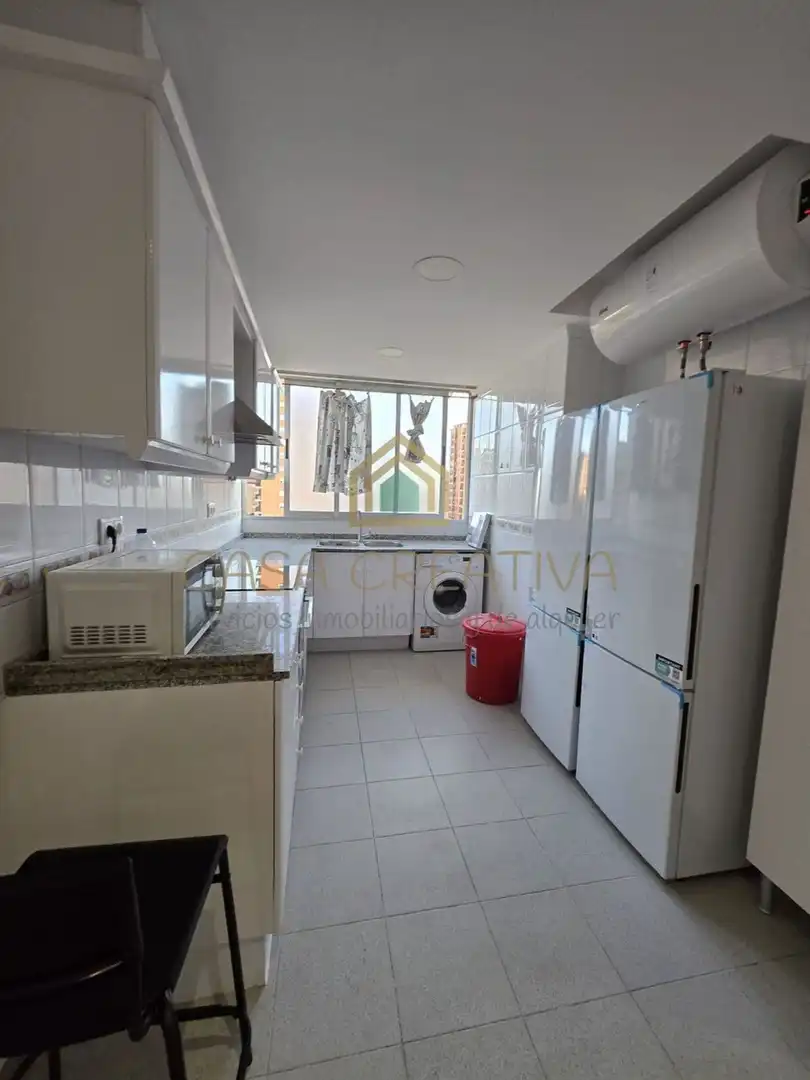 Zimmer in Avenida BLASCO IBAÑEZ, Ciutat Jardí