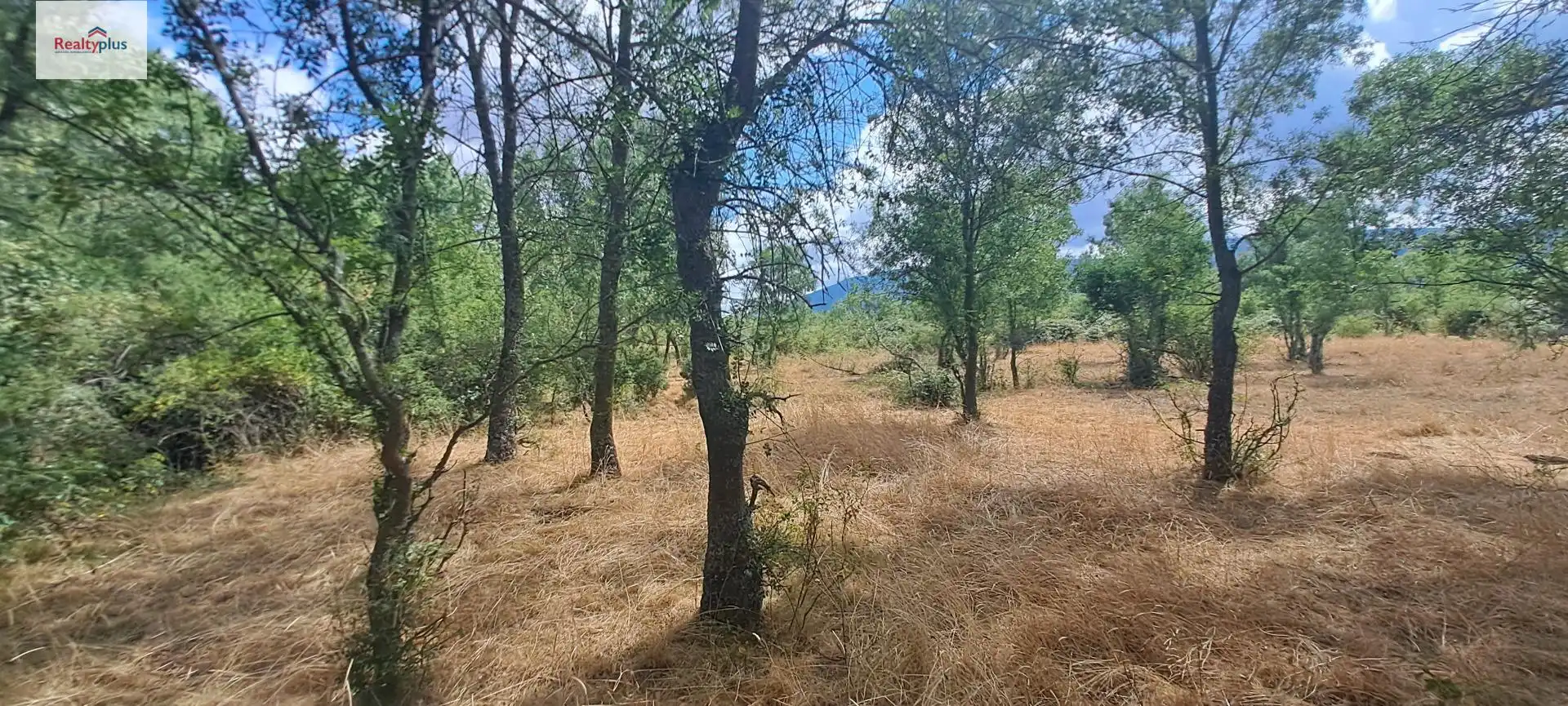 Terreni e lotti in vendita a Sotosalbos, imagen 19