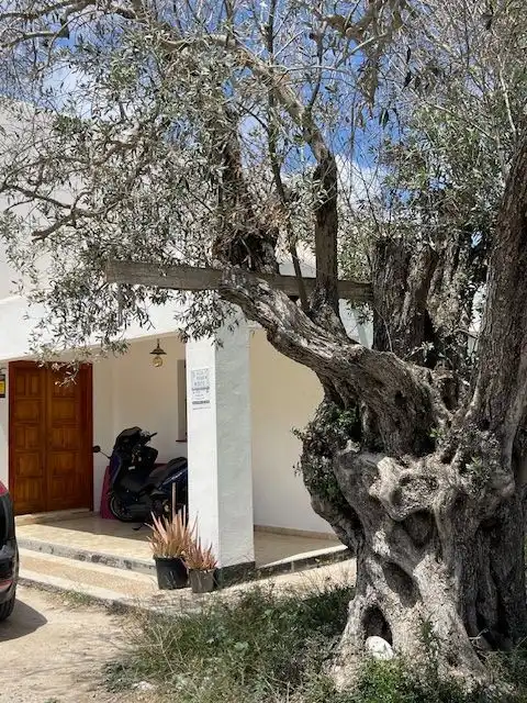 Haus mit Garten zum Verkauf in Sant Josep, imagen 7