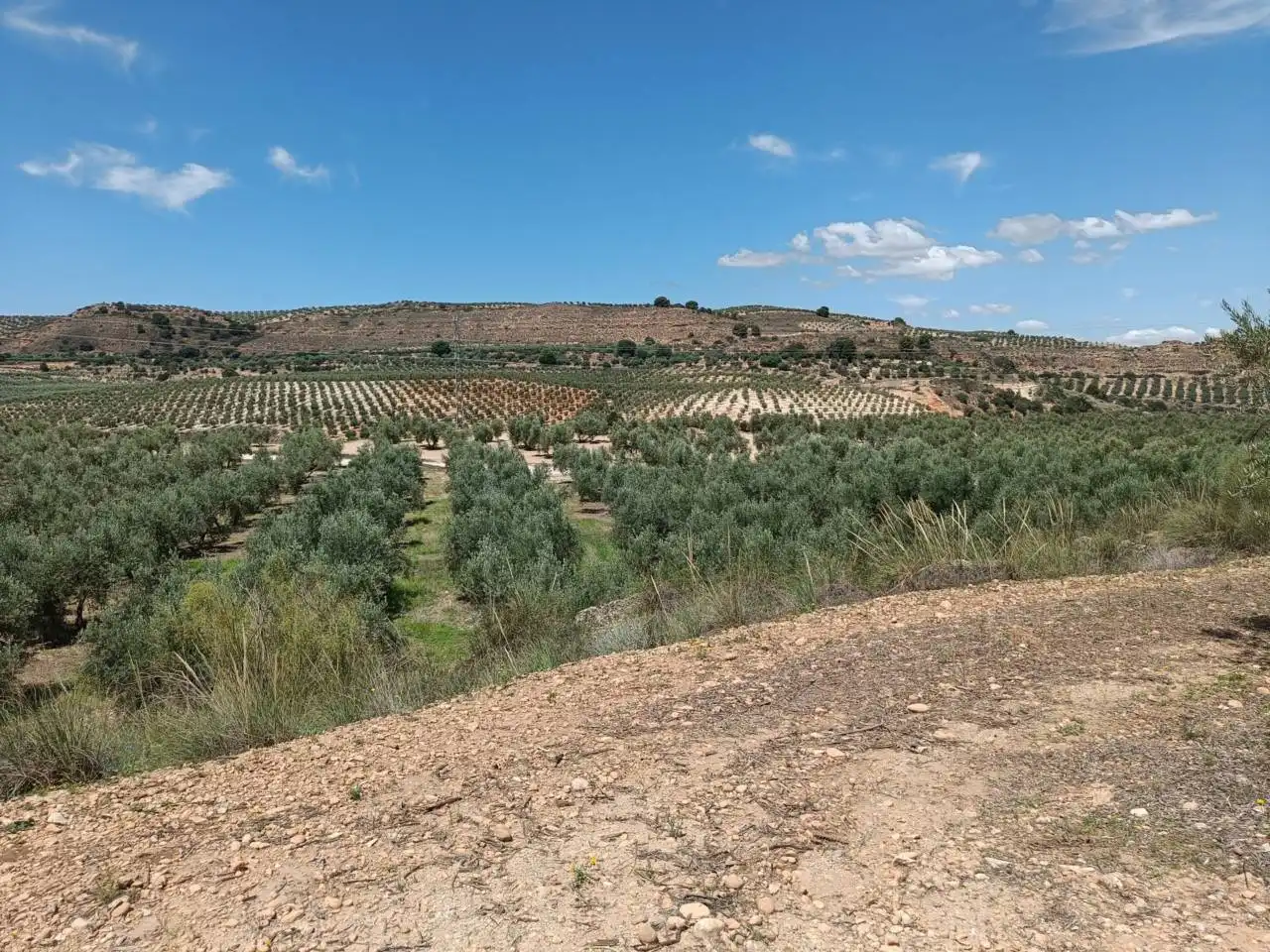 Country homes for sale in Moraleda de Zafayona  with Private garden, Swimming Pool and Furnished