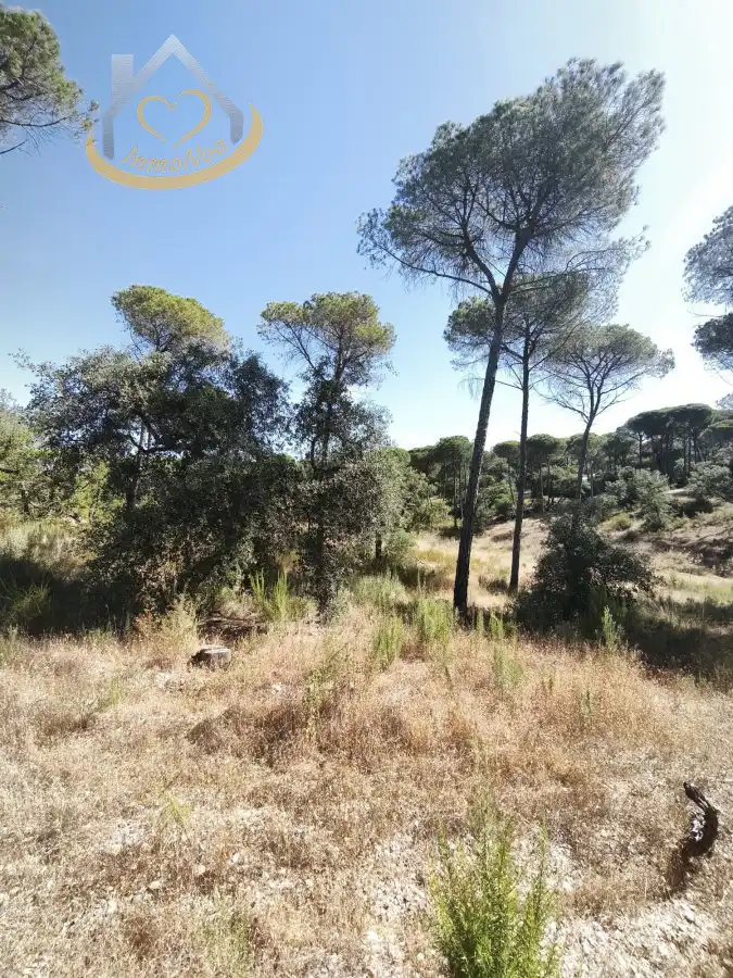 Terreni e lotti in vendita a Moguer, imagen 9