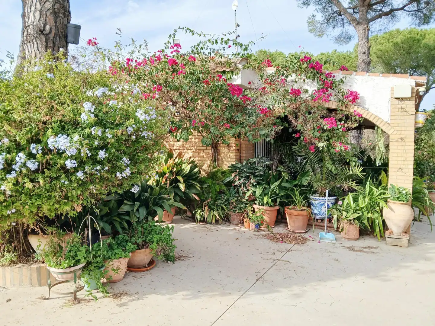 Casa rústica amb jardí en venda a Bonares, imagen 5