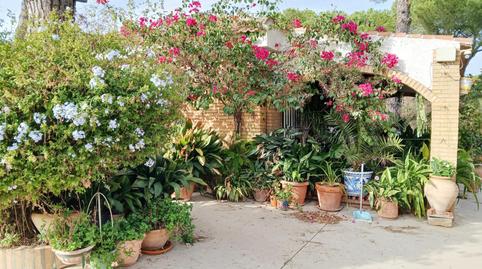 Foto 5 de Finca rústica en venda a Bonares, Huelva