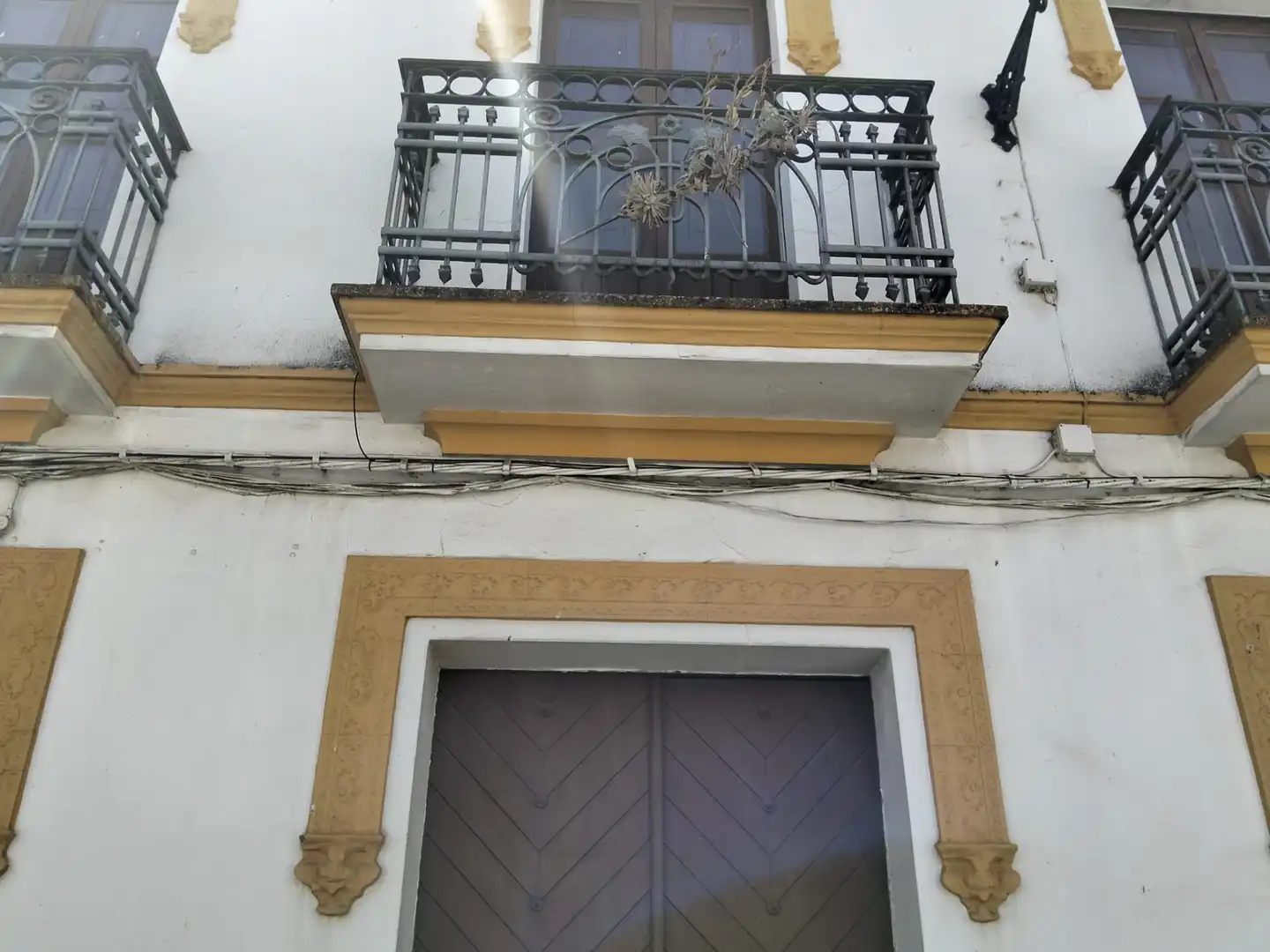 Vista exterior de Casa adosada en venta en Jabugo con Jardín privado