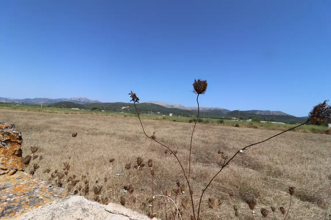 Grundstücke zum Verkauf in Sa Pobla
