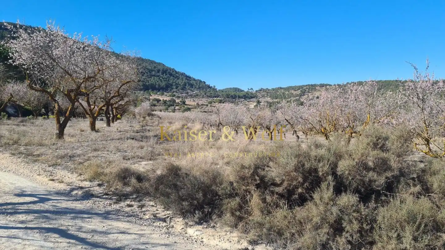 Finca rústica en venta en Onil con Jardín privado