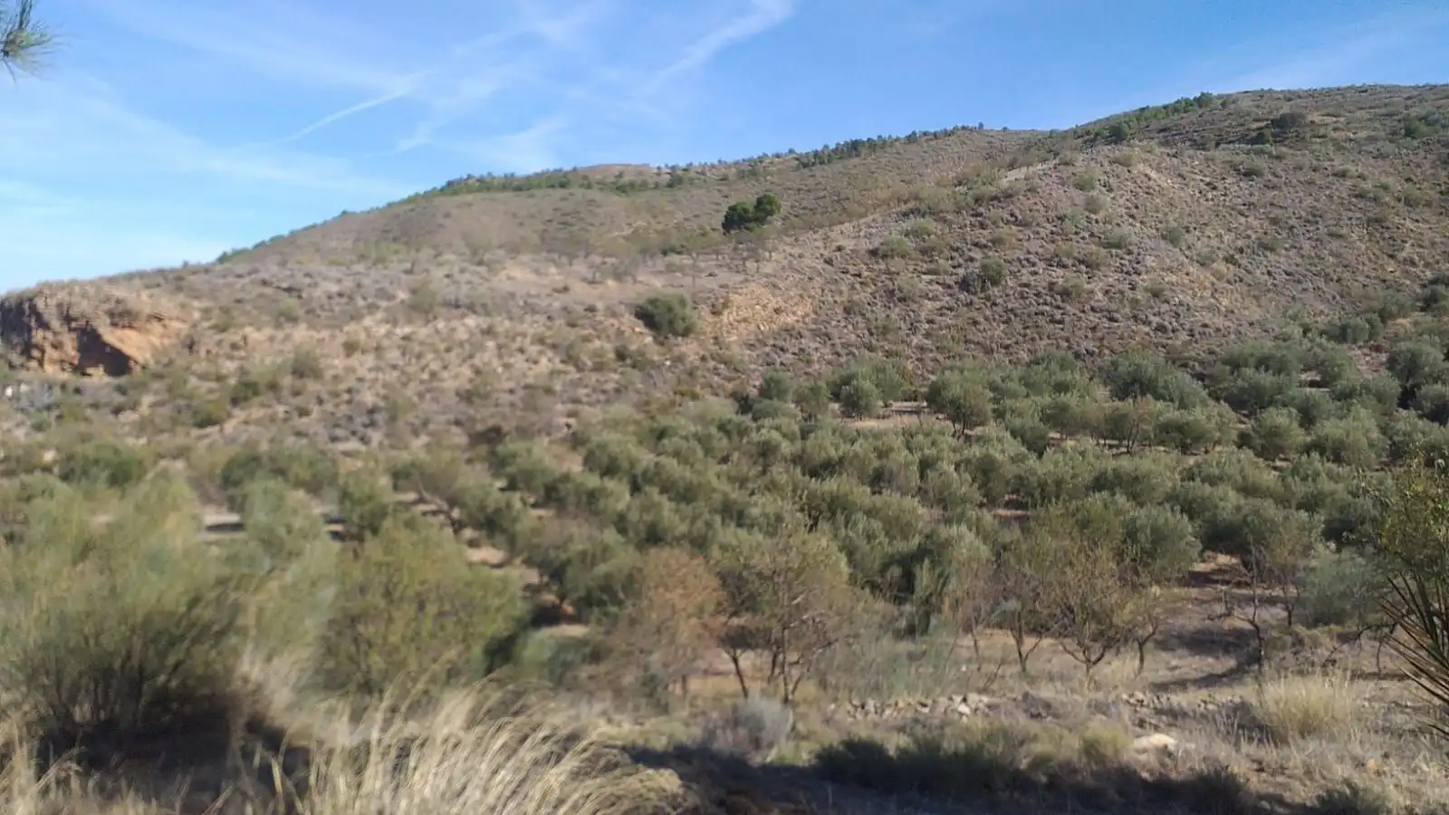Finca rústica en venda a Cóbdar