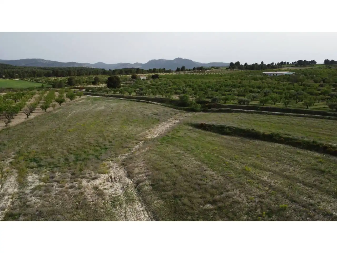 Terreno residencial en venta en Caravaca de la Cruz, imagen 22