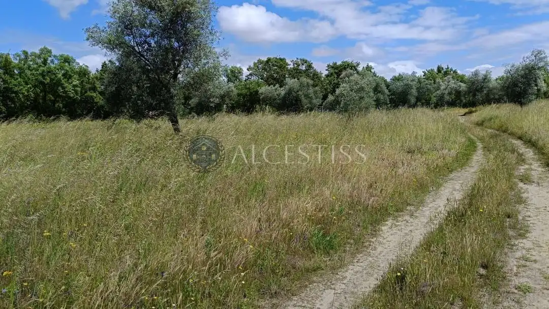 Land for sale in Méntrida