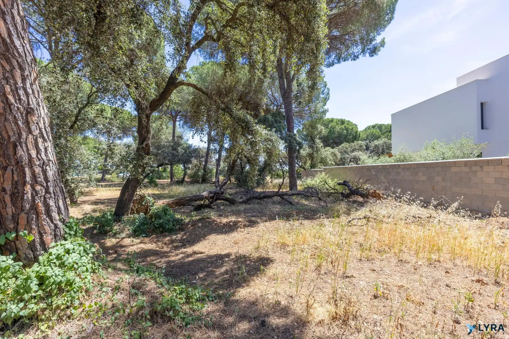 Residencial en venda en Bollullos de la Mitación