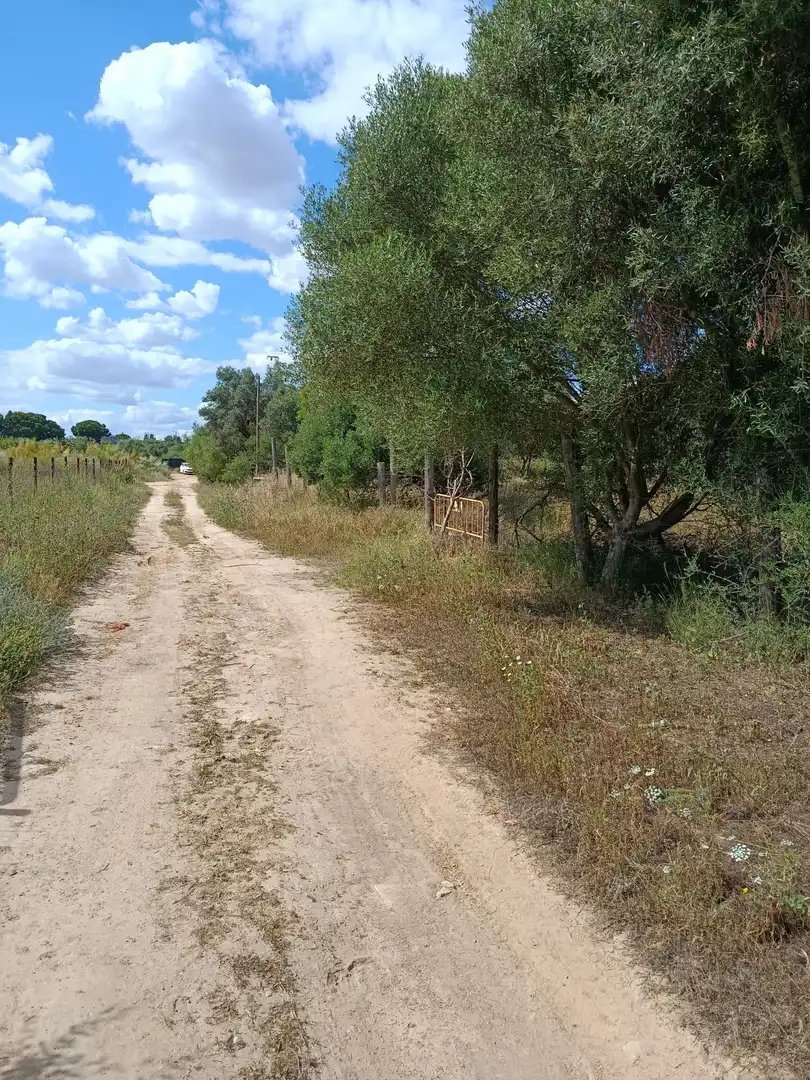 Terrain rustique à vendre à Camino CAÑADA REAL ARMADA A-8032