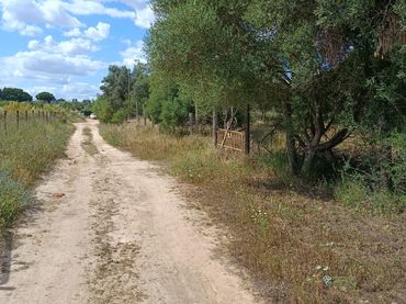 Terrain rustique à vendre à Camino CAÑADA REAL ARMADA A-8032