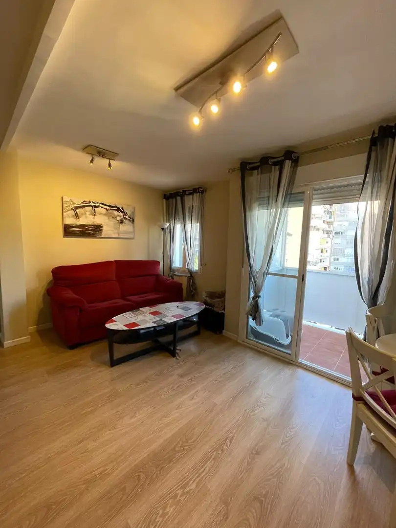 Sala de estar de Piso de alquiler en Norte - Universidad