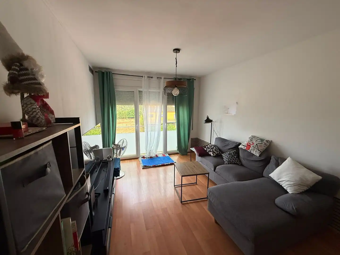 Sala de estar de Piso en venta en Bàscara con Aire acondicionado y Calefacción