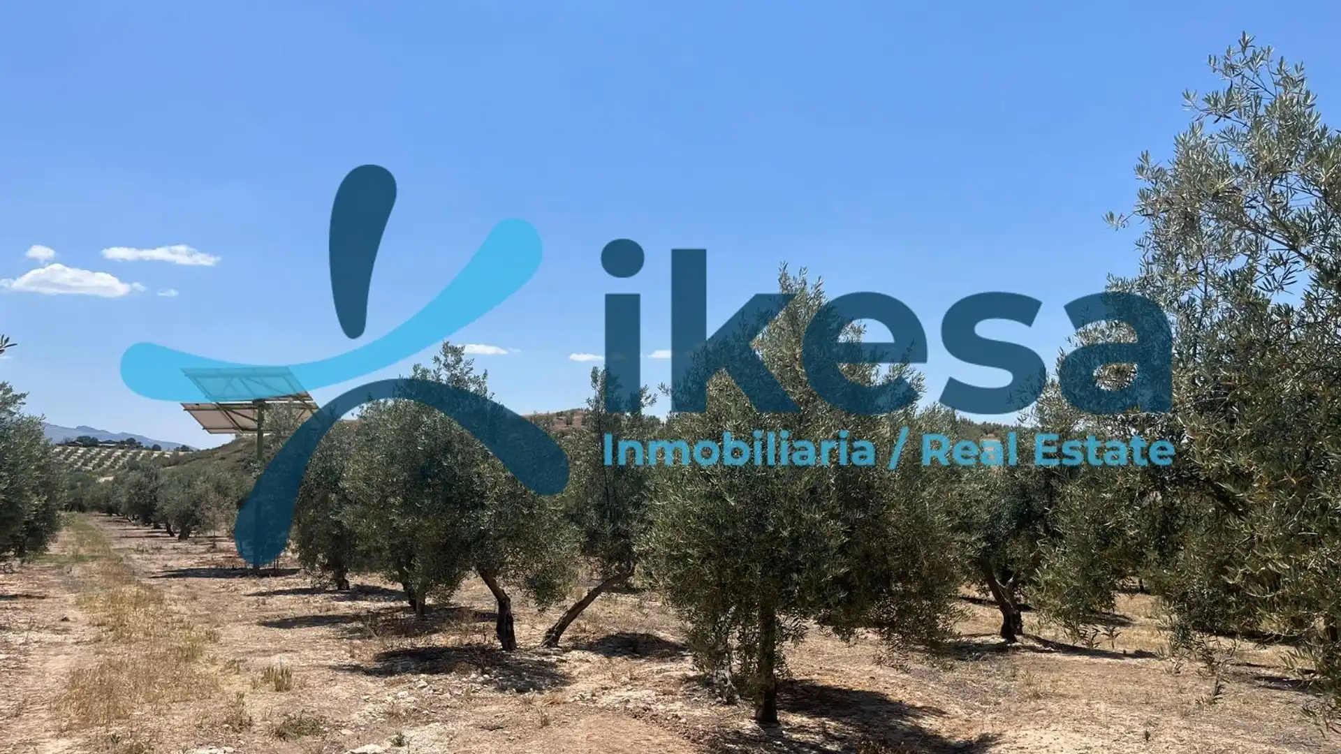 Land for sale in Peal de Becerro