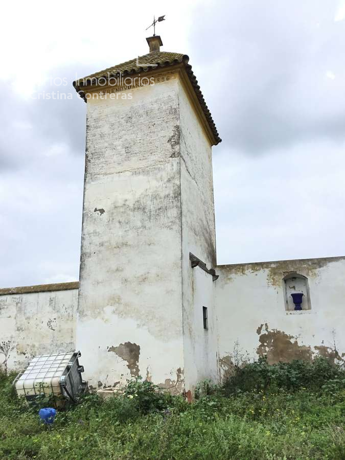 Exterior view of Country house for sale in Huévar del Aljarafe