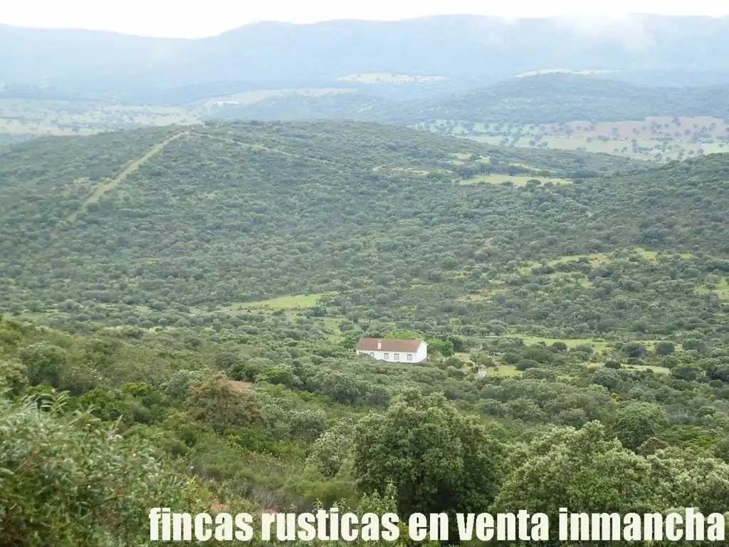 Terreno rústico en venta en Abenójar, imagen 2