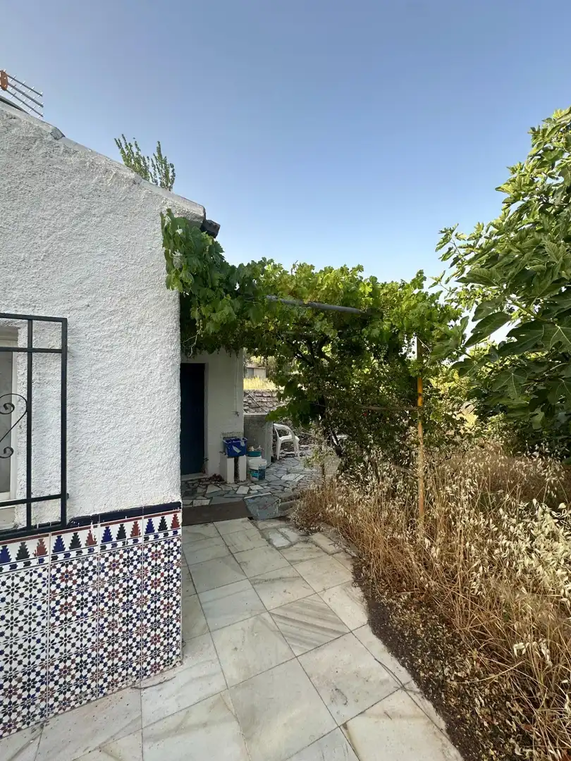 Jardín de Finca rústica en venta en Somontín