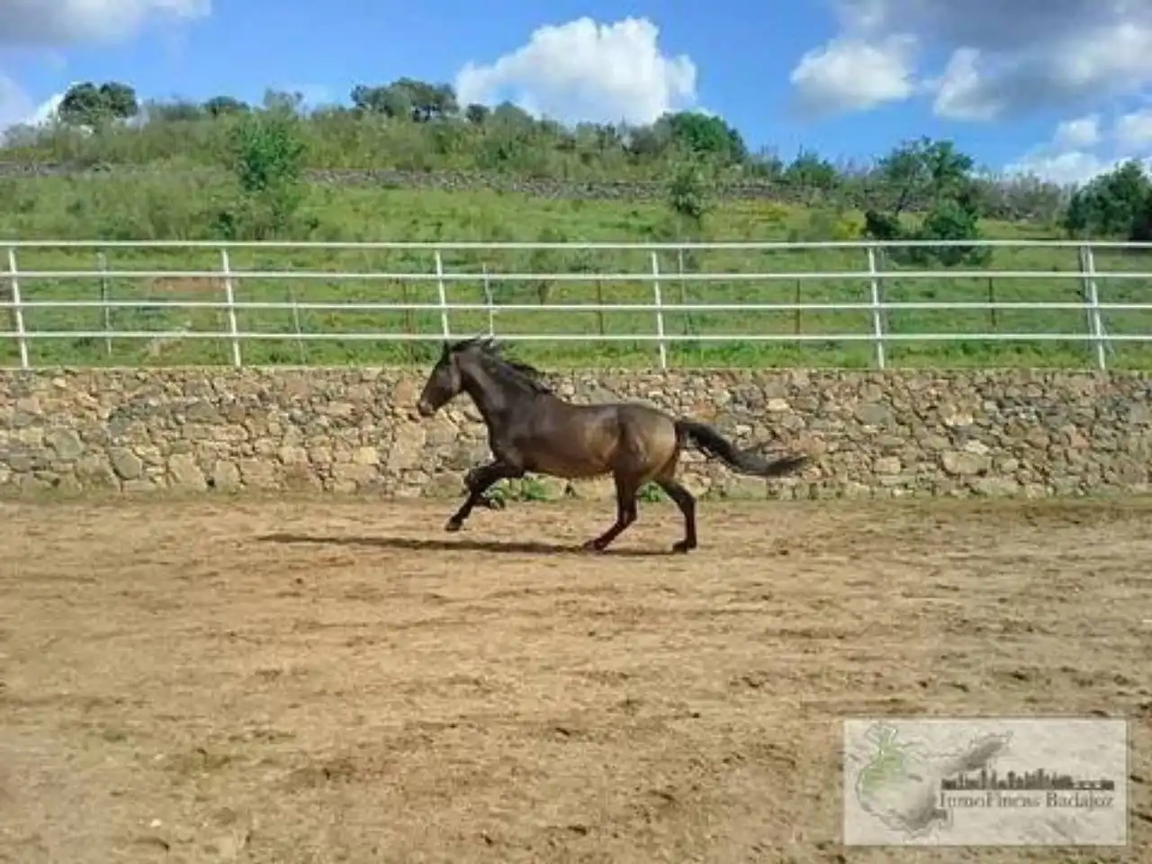 Vista exterior de Finca rústica en venta en Higuera de Vargas con Aire acondicionado, Jardín privado y Terraza