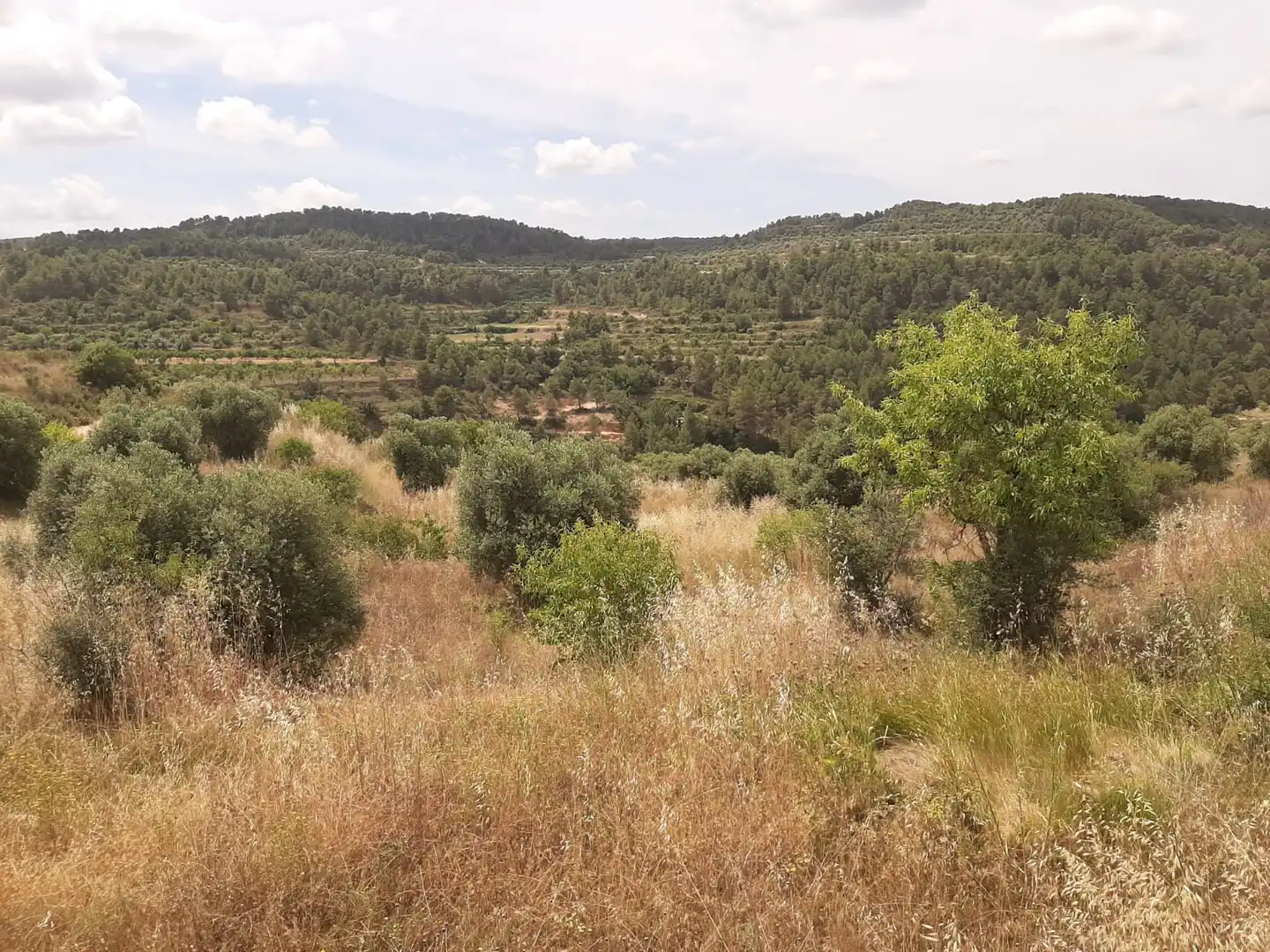 Casa adosada en venda en Cervià de Les Garrigues amb Jardí privat, Terrassa i Balcó