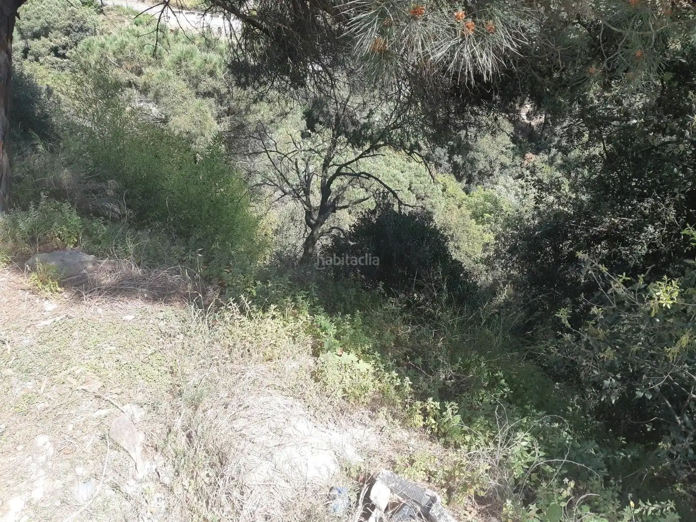 Lands and plots for sale in Can Massuet del Far