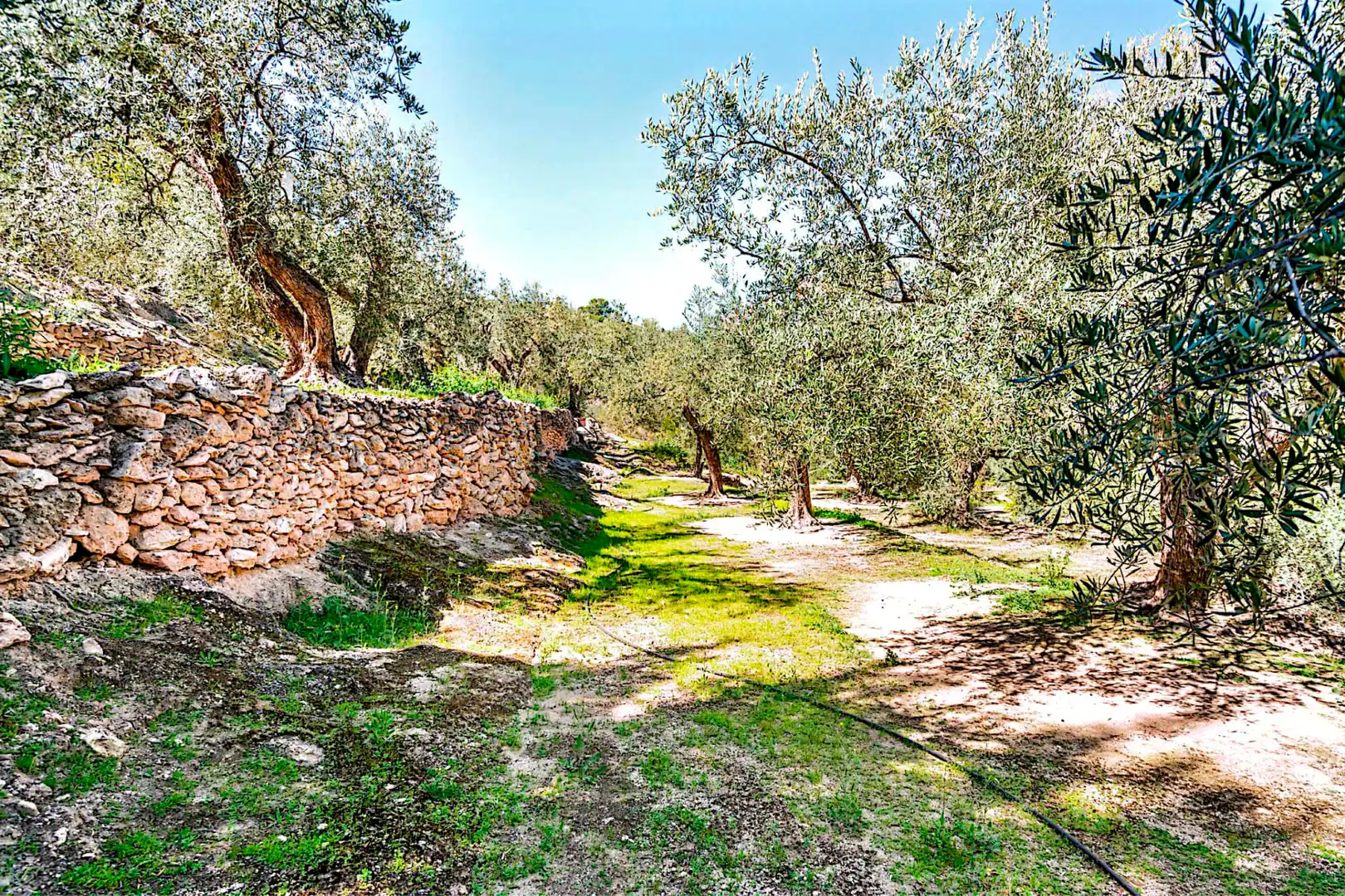 Terrain rustique à vendre à El Pinar, imagen 19