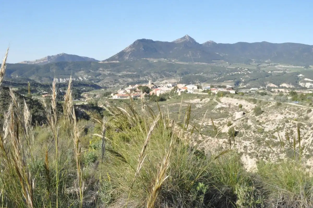 Vista exterior de Terreno industrial en venta en Tibi