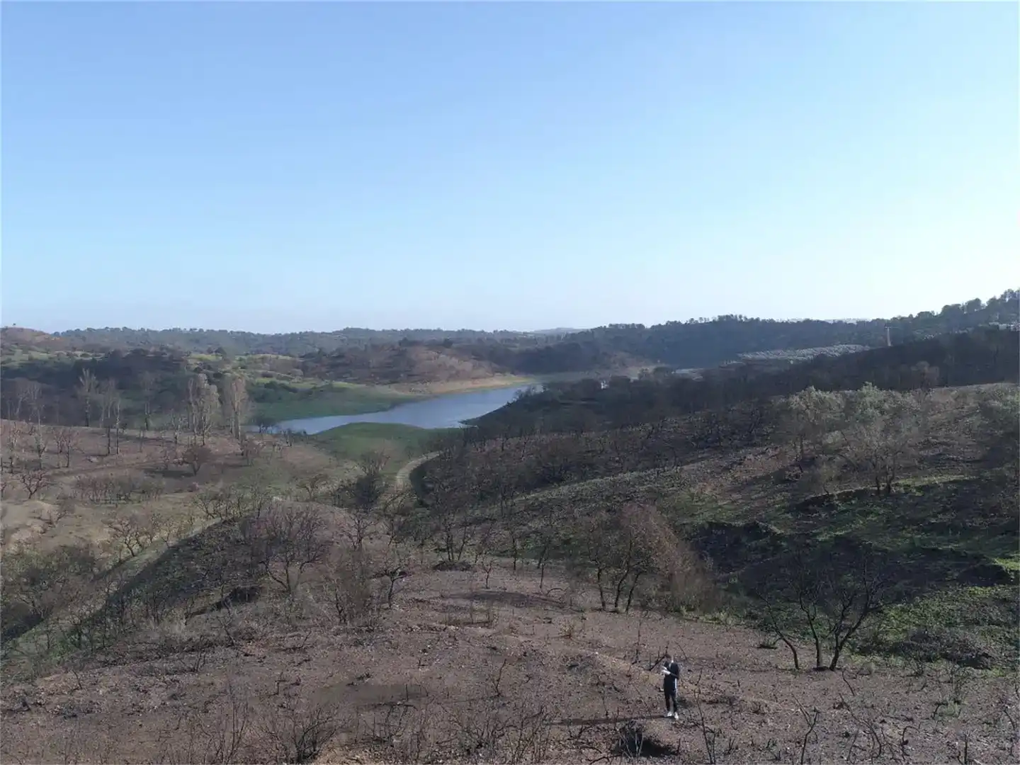 Terreno en venta en El Ronquillo