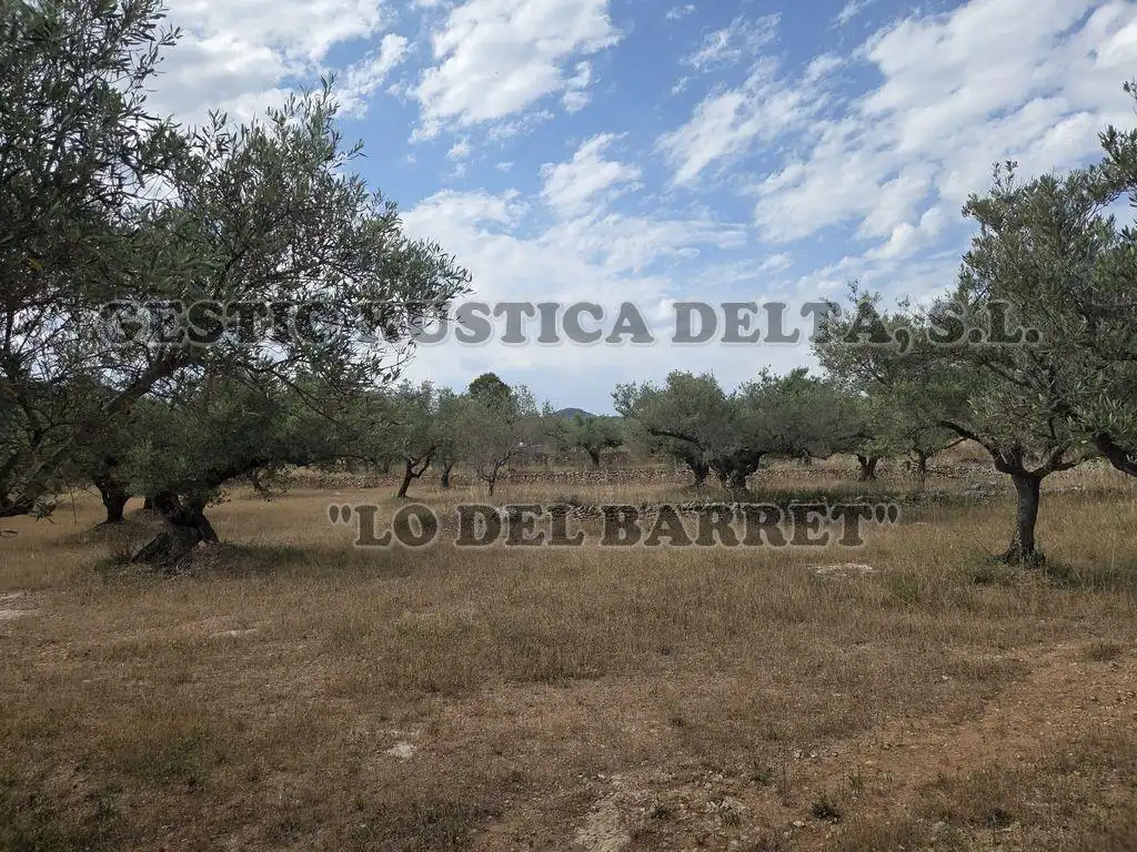 Finca rústica en venda en El Perelló