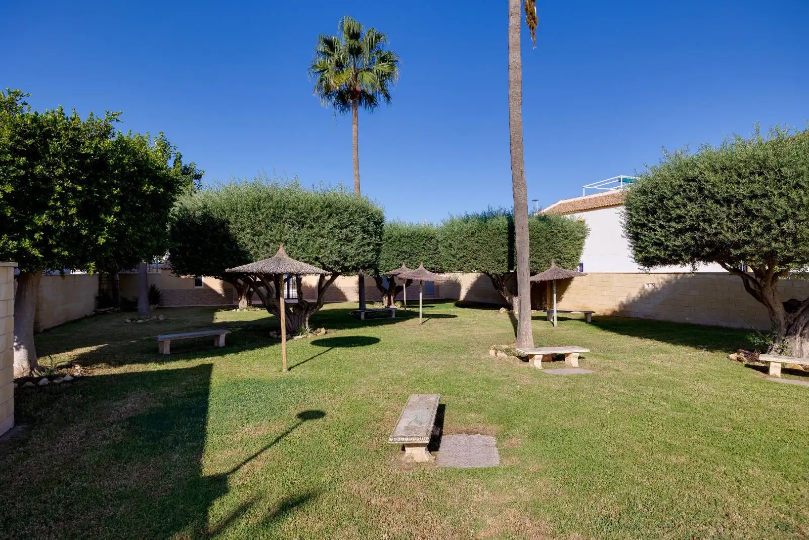 Jardí de Àtic en venda en Torrevieja amb Aire condicionat, Terrassa i Piscina