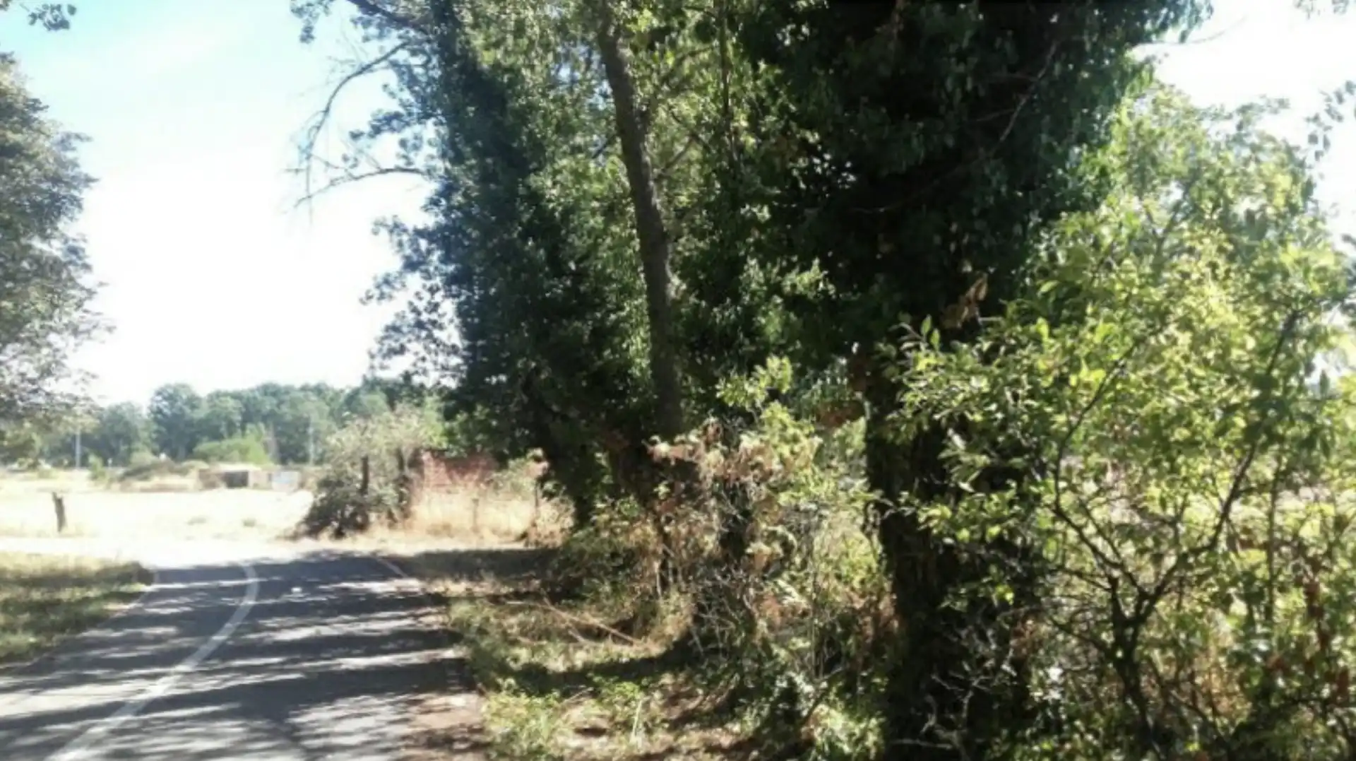 Grundstücke und Bauplätze zum Verkauf in Castrocontrigo, imagen 17