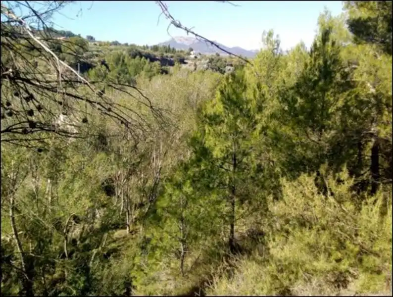 Terreno en venta en Proc. Simplificado, 4, 4, Penàguila