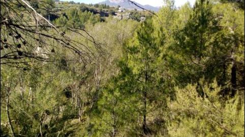 Foto 3 de Terreno en venta en Proc. Simplificado, 4, -1, Penàguila, Alicante