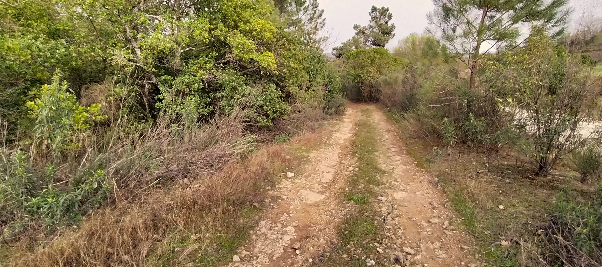 Terreno en venta en Collado de la Vera