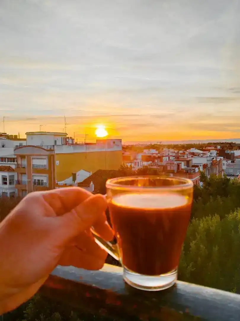 Exterior view of Flat for rent in Sueca