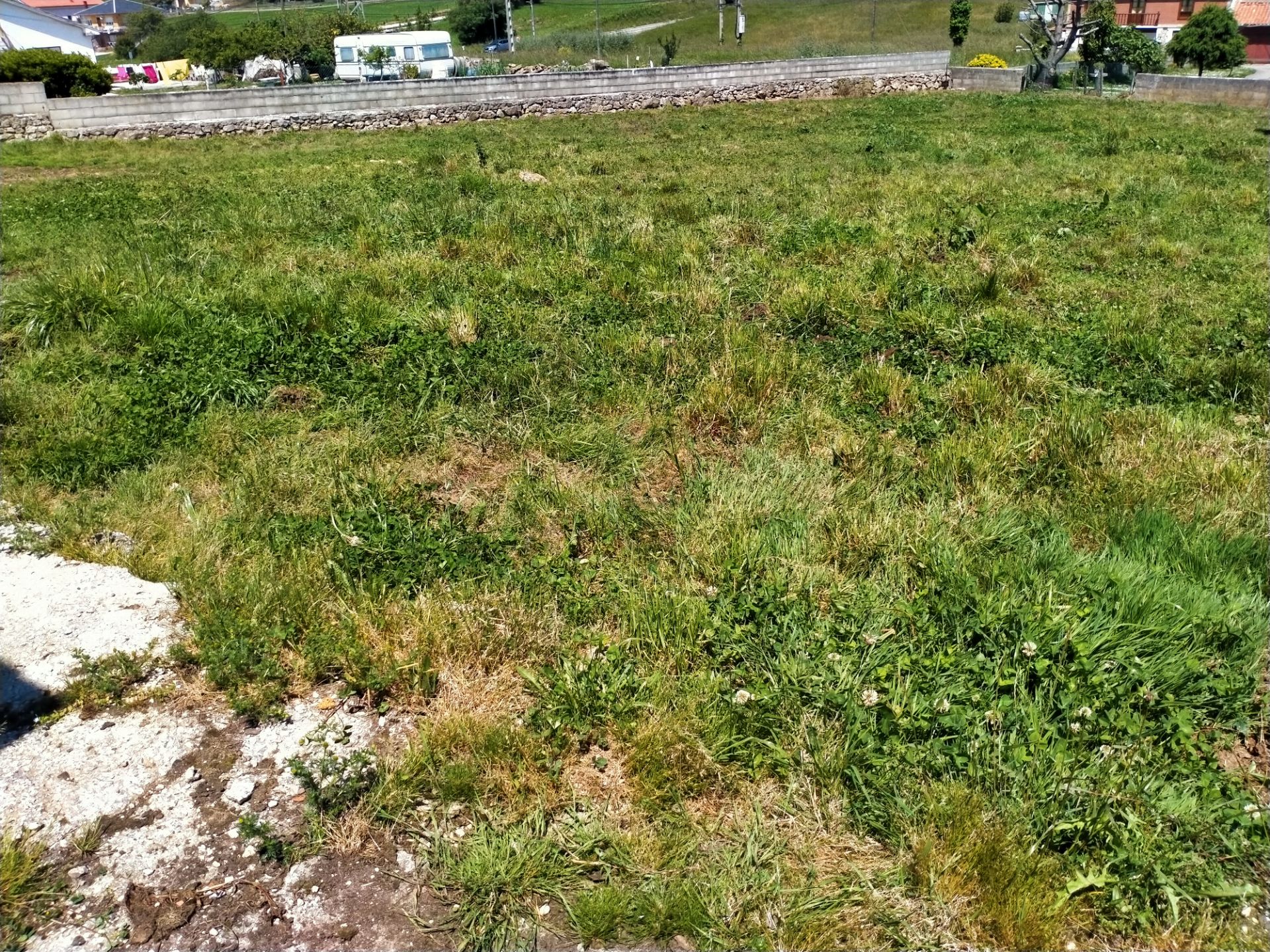 Land for sale in Miengo