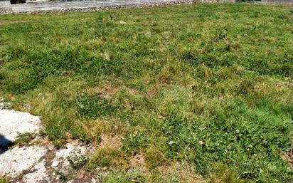 Land for sale in Miengo
