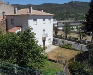 Vista exterior de Finca rústica en venda en Amer amb Jardí privat, Terrassa i Moblat