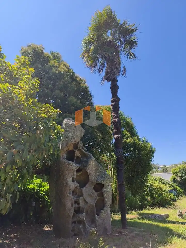 Jardín de Casa o chalet en venta en Vigo  con Calefacción, Jardín privado y Parquet