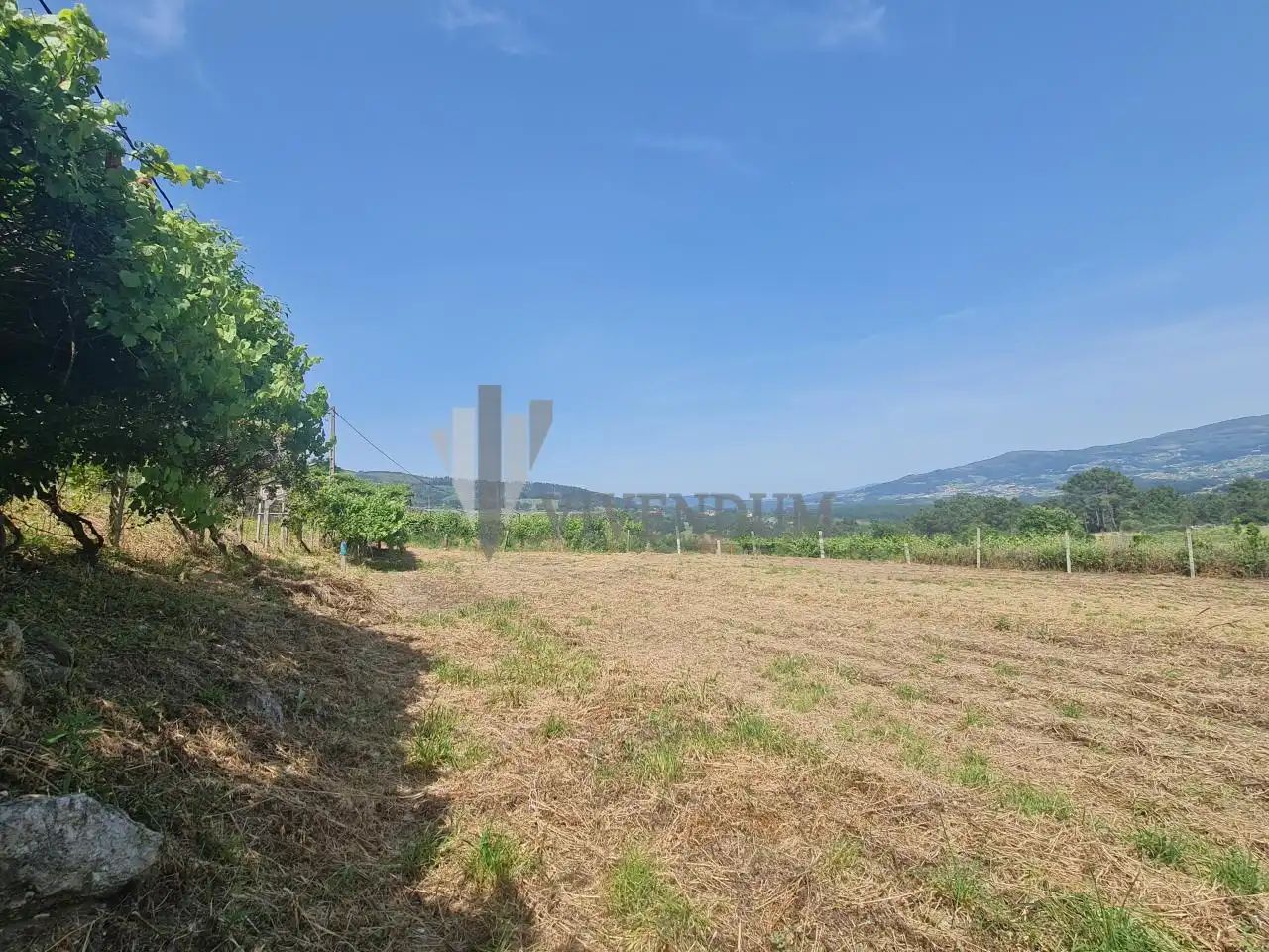 Rural land for sale in Arbo, imagen 9