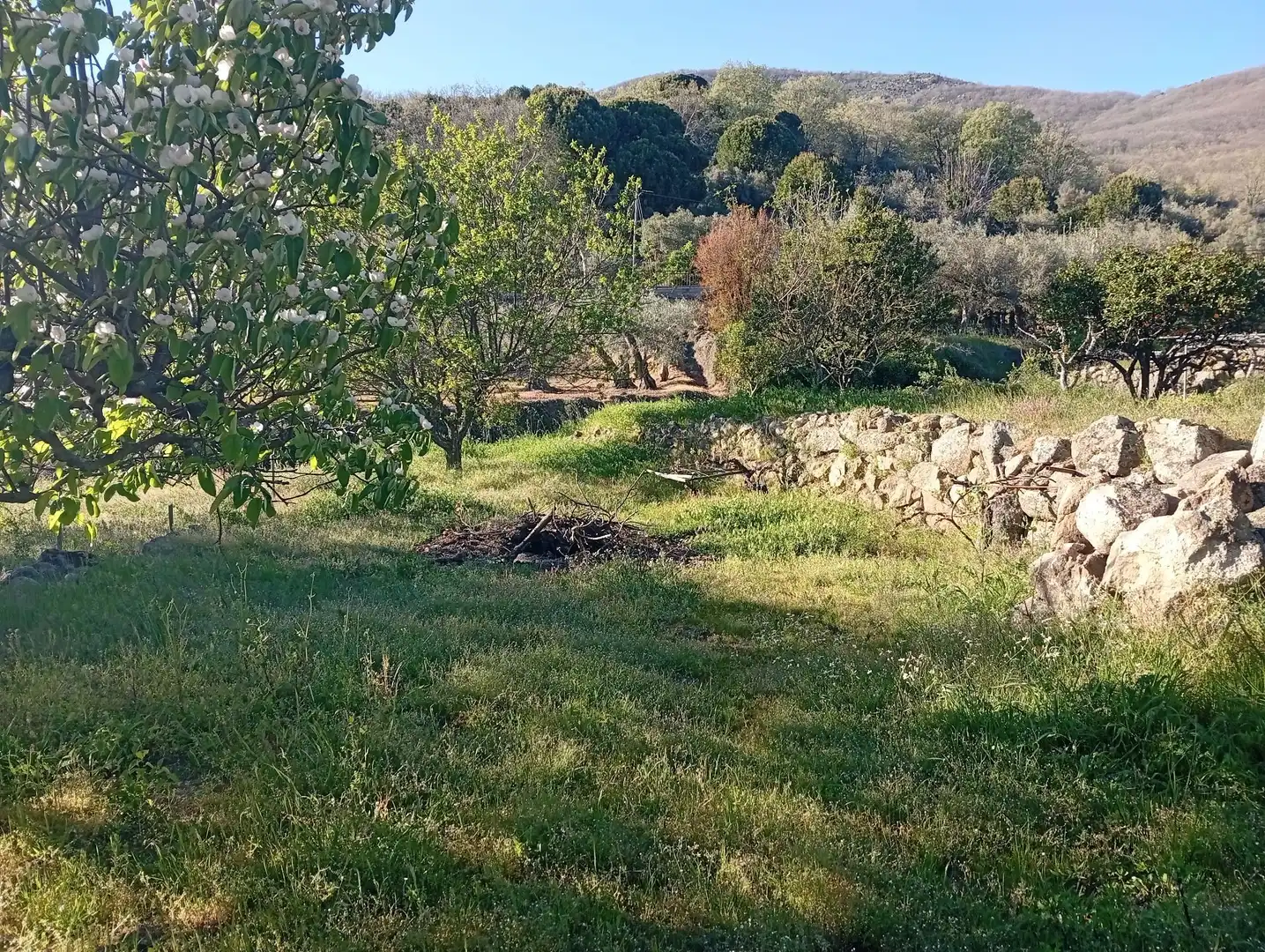 Terreno en venta en Valverde de la Vera