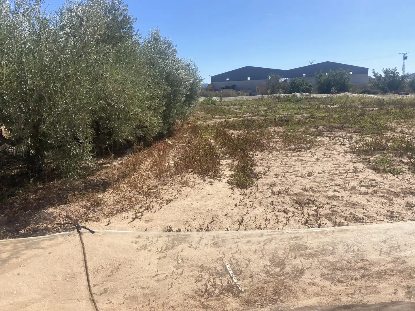 Land for sale in Cartagena