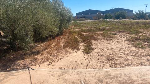 Foto 5 de Terreny en venda a La Magdalena - Molinos Marfagones, Cartagena