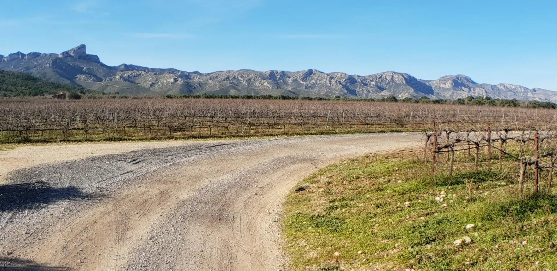 Vista exterior de Finca rústica en venta en El Perelló con Jardín privado, Terraza y Trastero