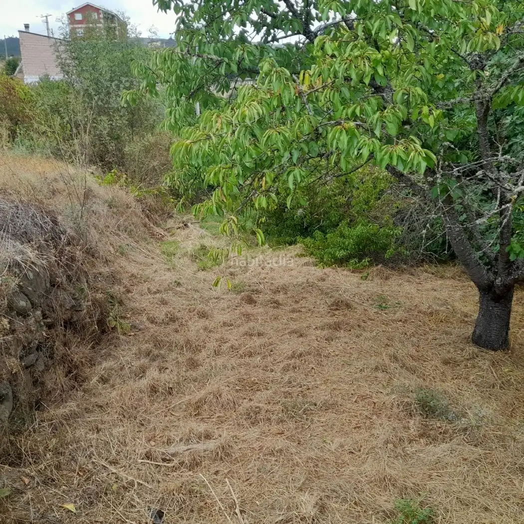 Residential land for sale in Calle Cigarrosa 11, imagen 2