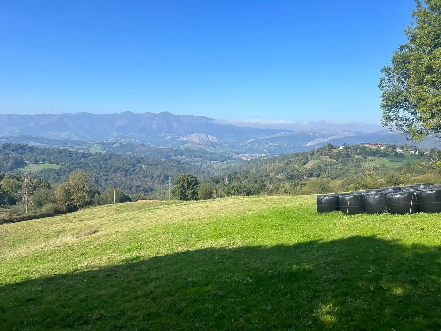 Terrenos y solares en venta en Parres, imagen 20